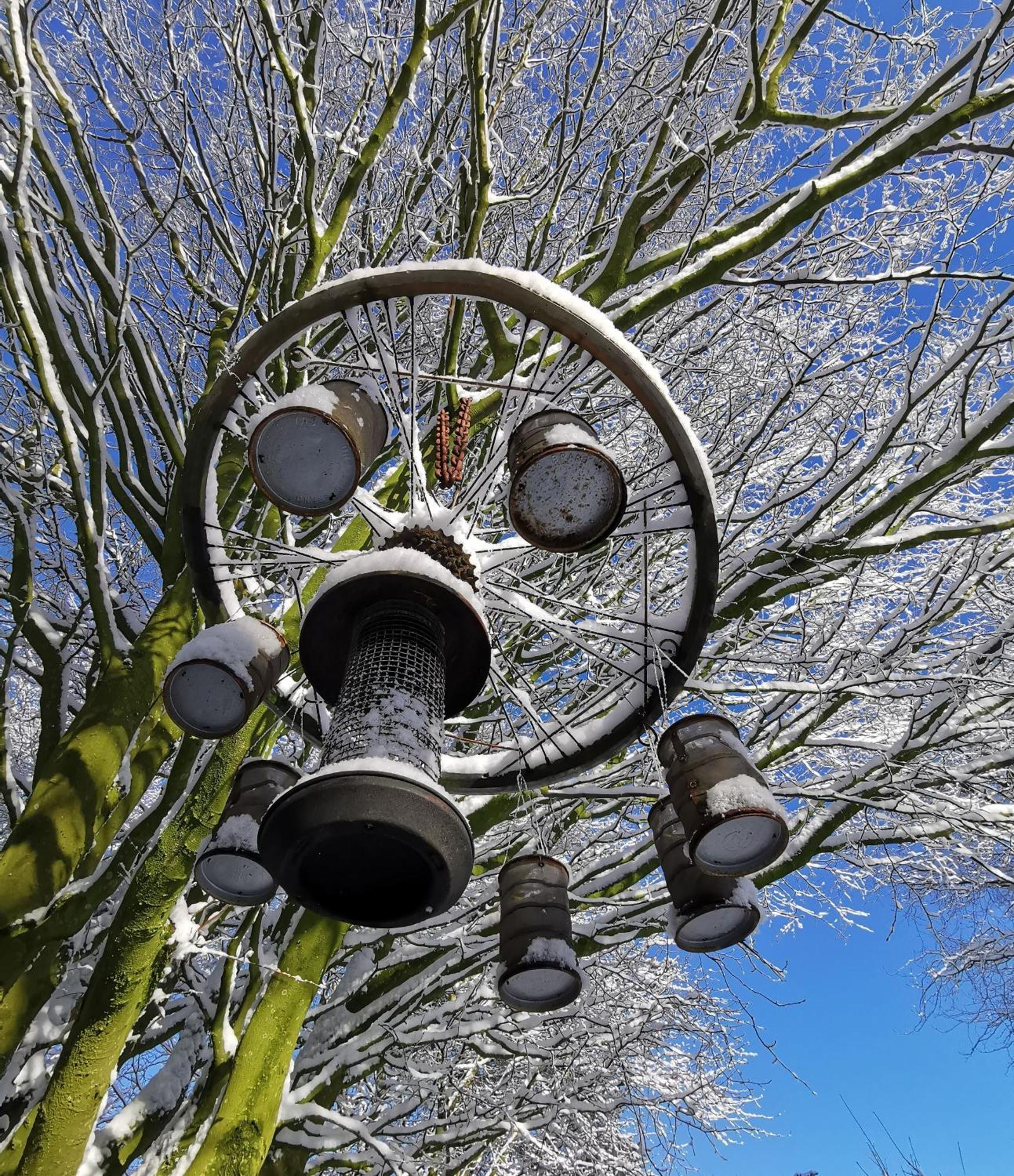 Doughery Den The Dark Hedges Hideaway Armoy 외부 사진