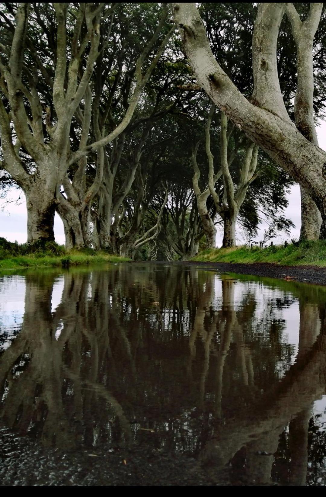 Doughery Den The Dark Hedges Hideaway Armoy 외부 사진