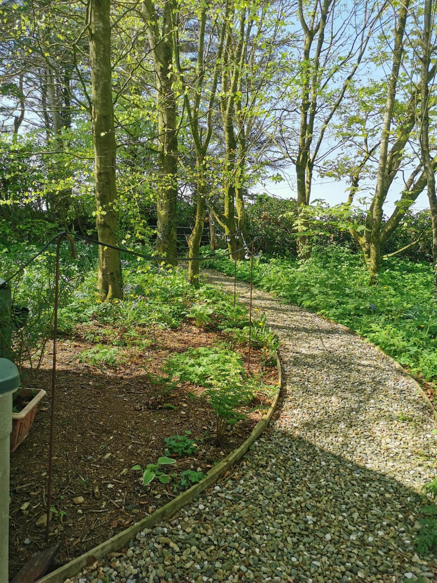 Doughery Den The Dark Hedges Hideaway Armoy 외부 사진